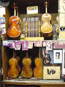 Stein on Vine Instruments